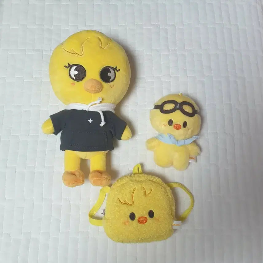 스키즈 스키주 뽁아리 일괄