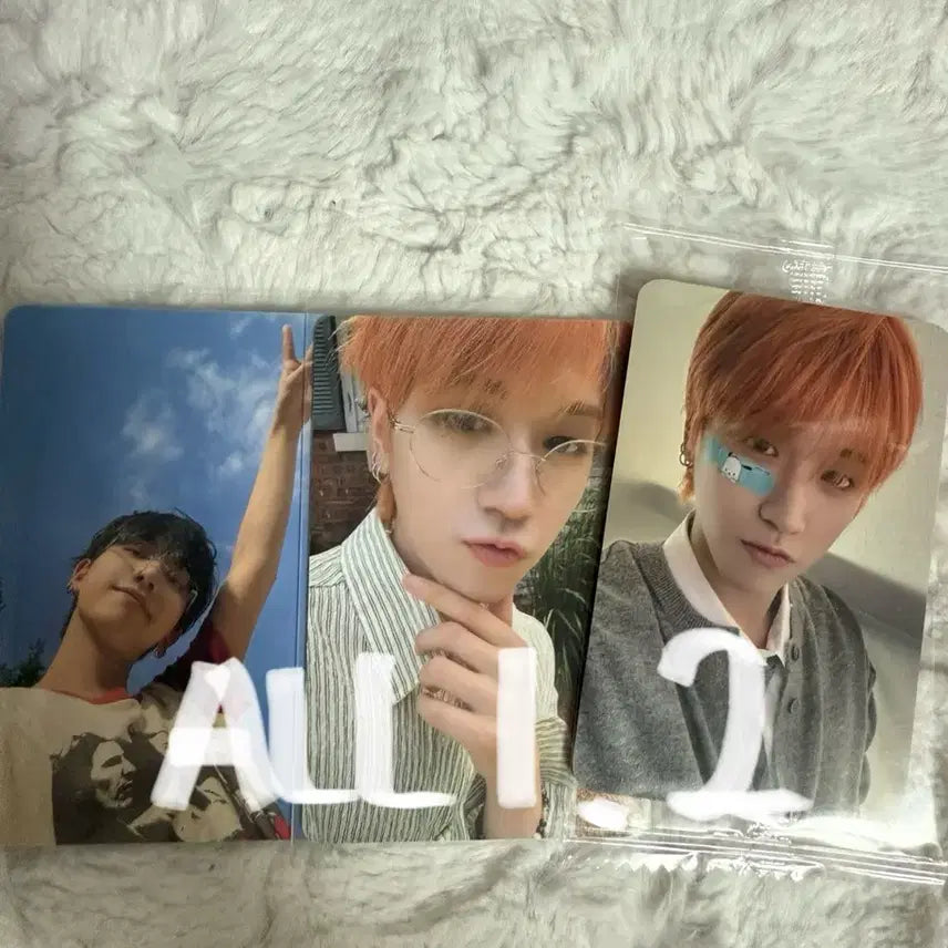 보넥도 보이넥스트도어 리우 명재현 미공포 더액션 프레임 포카양도 케타포