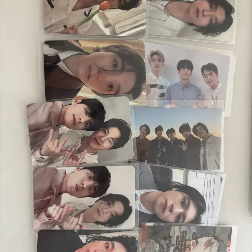 데이식스 포카 일괄