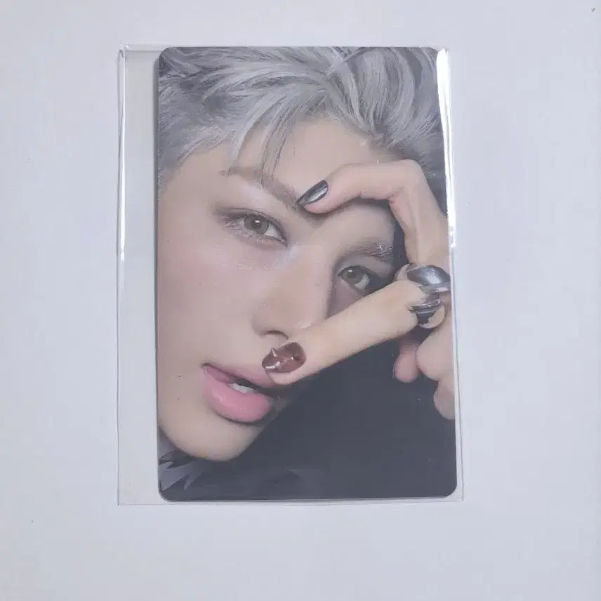 앤팀 마키 백투라이프 위버스 특전 포카