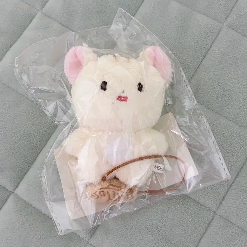 NCT DREAM 지성 장모 퐑쮜 인형 풀세트