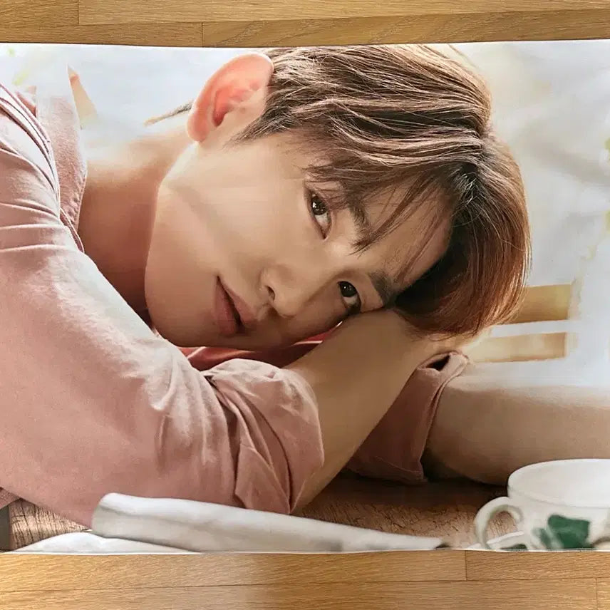 BUNJANG] GOT7 Jinyoung HeyGuys Fabric Poster / 갓세븐 진영 헤이