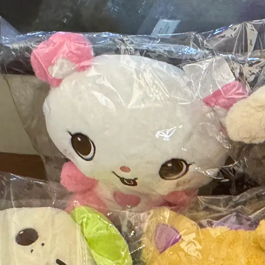 NCT WISH WISH BAKERY 30cm WISH DOLL サクヤ WISH NCT - [2026 : 엔시