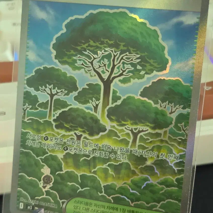 BUNJANG] Pokemon Card Forest of Vitality SR / 포켓몬카드 활력의 숲 SR – HALLYUSUPERSTORE