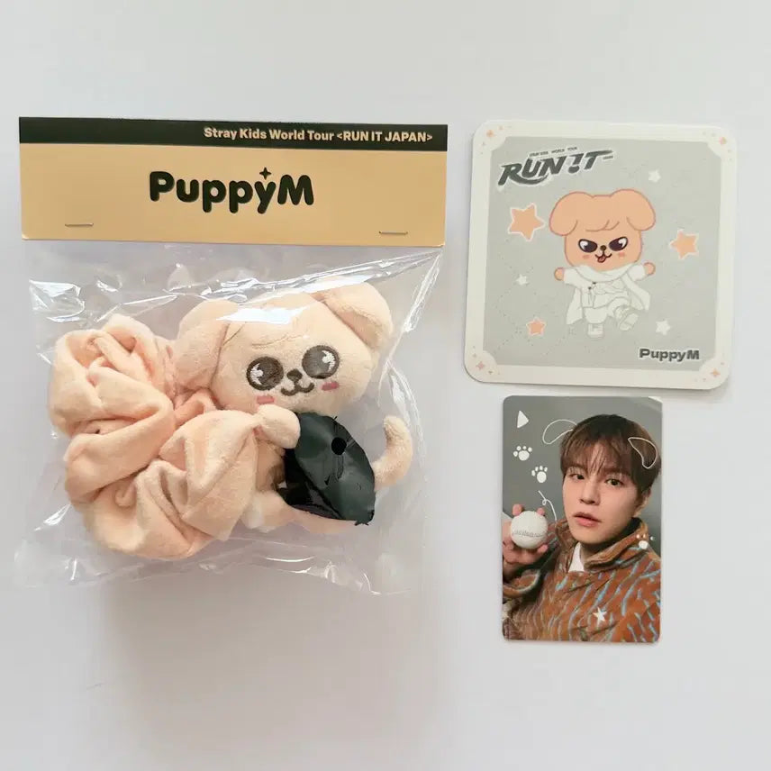 BUNJANG] Stray Kids Seungmin RUN IT Japan Photocard Bundle Set