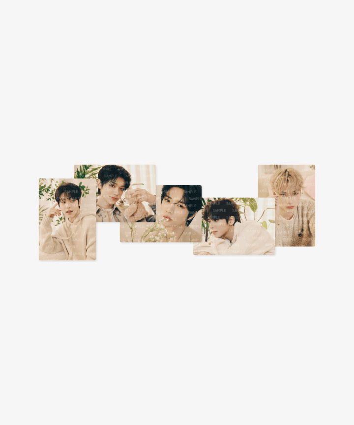 TXT - 2024 Dream Week Official MD (Mini Photocard Ver.1, Ver.2, Photo Keyring) - HALLYUSUPERSTORE