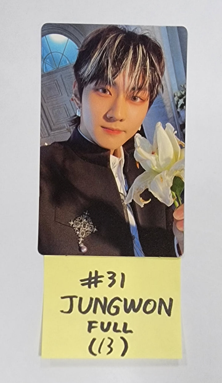 Enhypen "DARK BLOOD" - Official Photocard, Postacard Set (7EA) - HALLYUSUPERSTORE