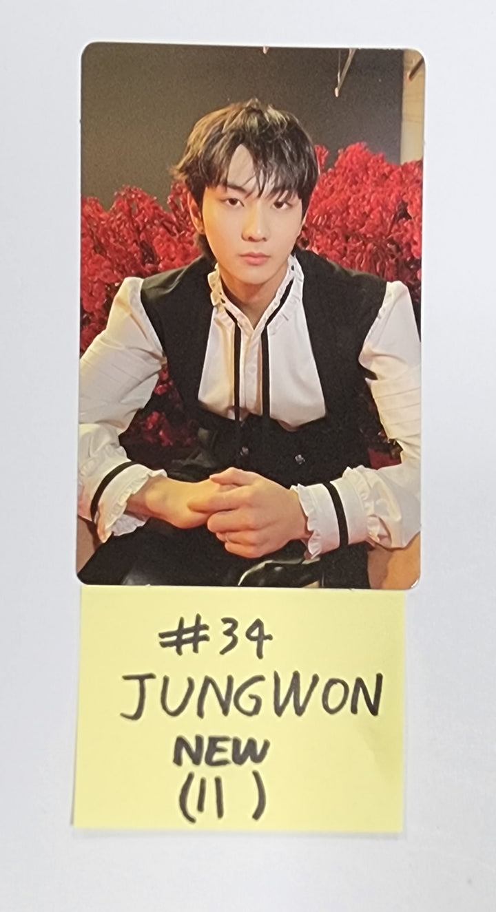 Enhypen "DARK BLOOD" - Official Photocard, Postacard Set (7EA) - HALLYUSUPERSTORE