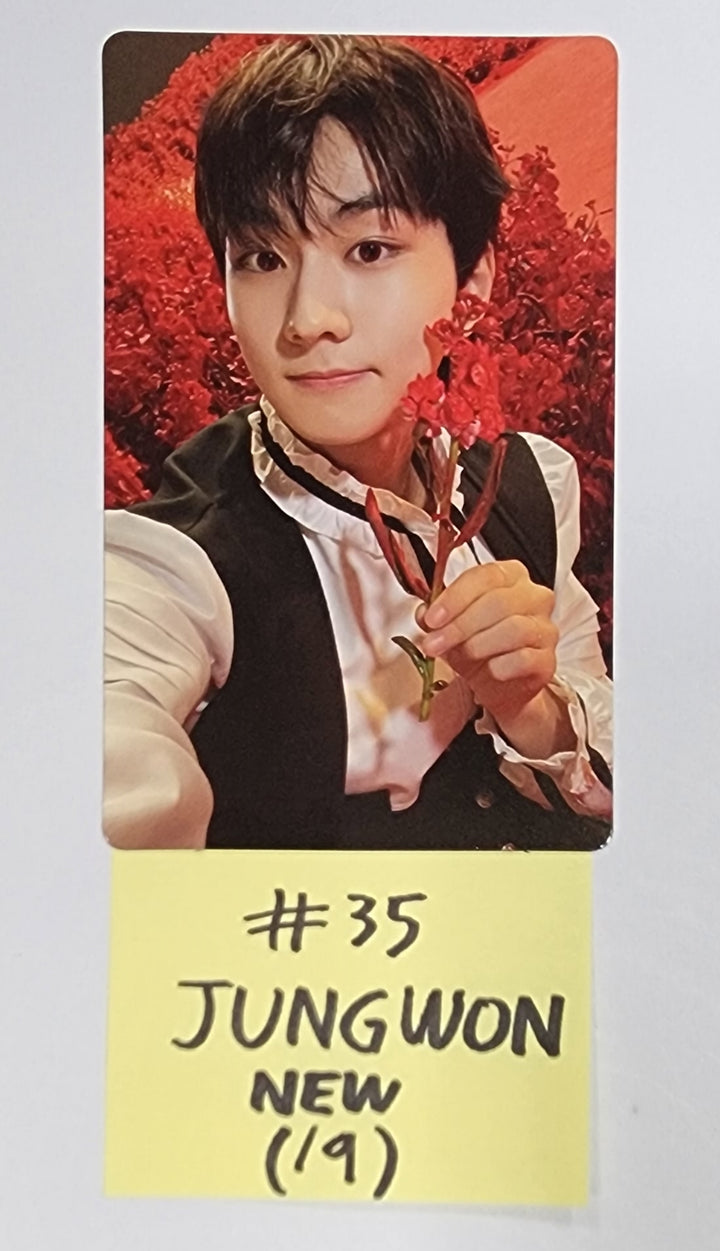 Enhypen "DARK BLOOD" - Official Photocard, Postacard Set (7EA) - HALLYUSUPERSTORE
