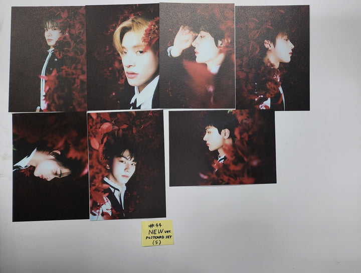 Enhypen "DARK BLOOD" - Official Photocard, Postacard Set (7EA) - HALLYUSUPERSTORE