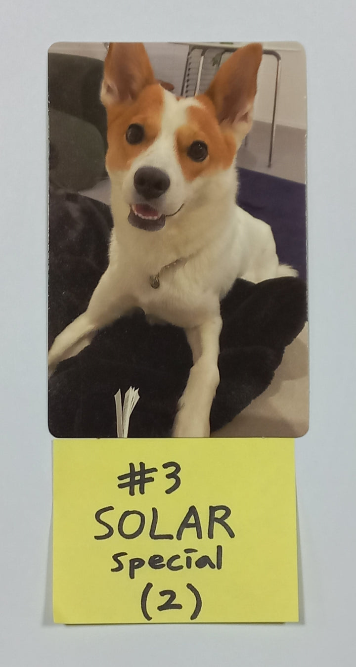 Mamamoo+ "Two Rabbits" - Official Photocard (Photobook Ver, Mini Ver.) - HALLYUSUPERSTORE