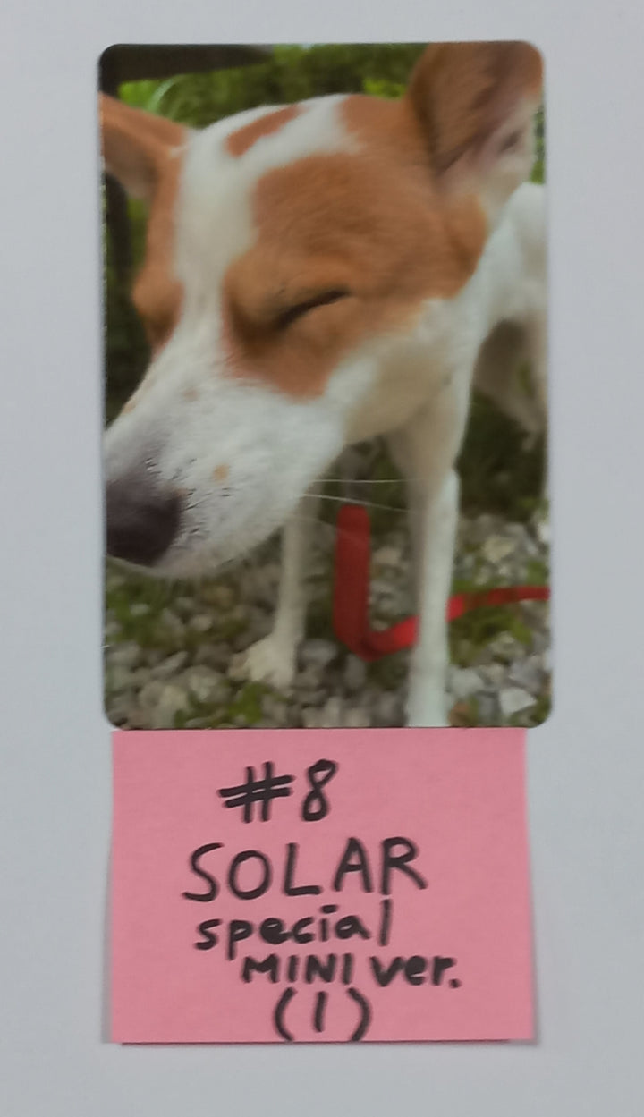 Mamamoo+ "Two Rabbits" - Official Photocard (Photobook Ver, Mini Ver.) - HALLYUSUPERSTORE