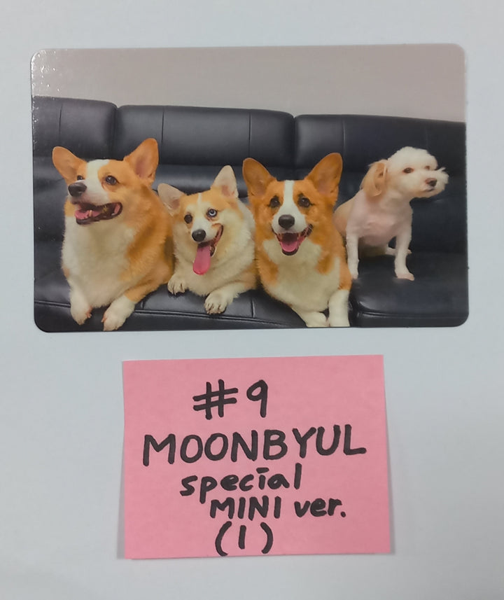 Mamamoo+ "Two Rabbits" - Official Photocard (Photobook Ver, Mini Ver.) - HALLYUSUPERSTORE