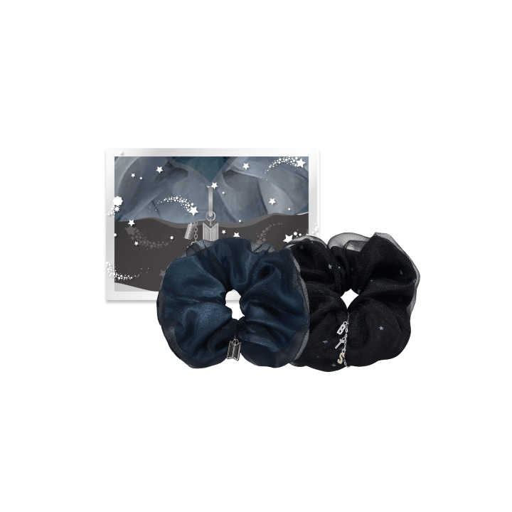 BTS FESTA 2025 Organza Scrunchie シュシュ BTS - FESTA 2025 X WEVERSE OFFICIAL MD [Organza Scrunchie