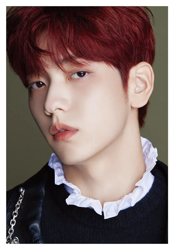 TXT DICON D'FESTA ( Dispatch 10th Anniversary ) - HALLYUSUPERSTORE