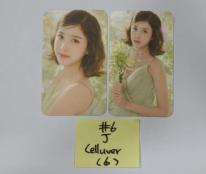 StayC - Celluver 750 Limited Chiffon Flower Photocard Set(2EA) - HALLYUSUPERSTORE