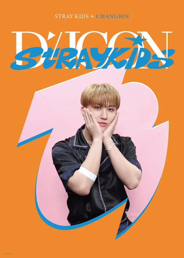 Stray Kids DICON D'FESTA Mini Edition - HALLYUSUPERSTORE