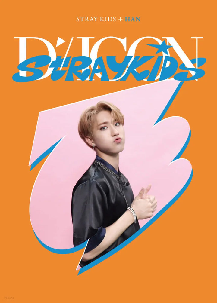 Stray Kids DICON D'FESTA Mini Edition - HALLYUSUPERSTORE