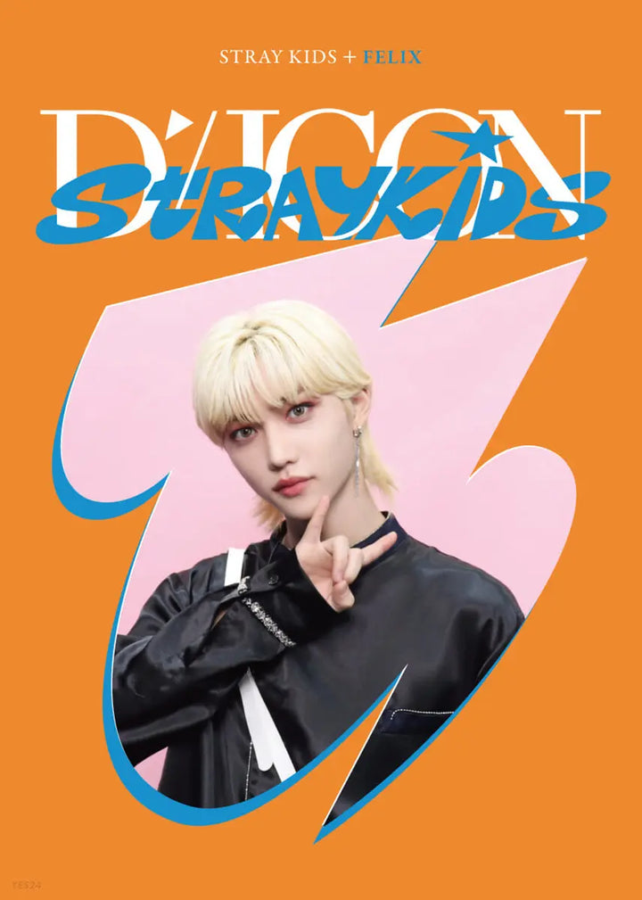 Stray Kids DICON D'FESTA Mini Edition - HALLYUSUPERSTORE