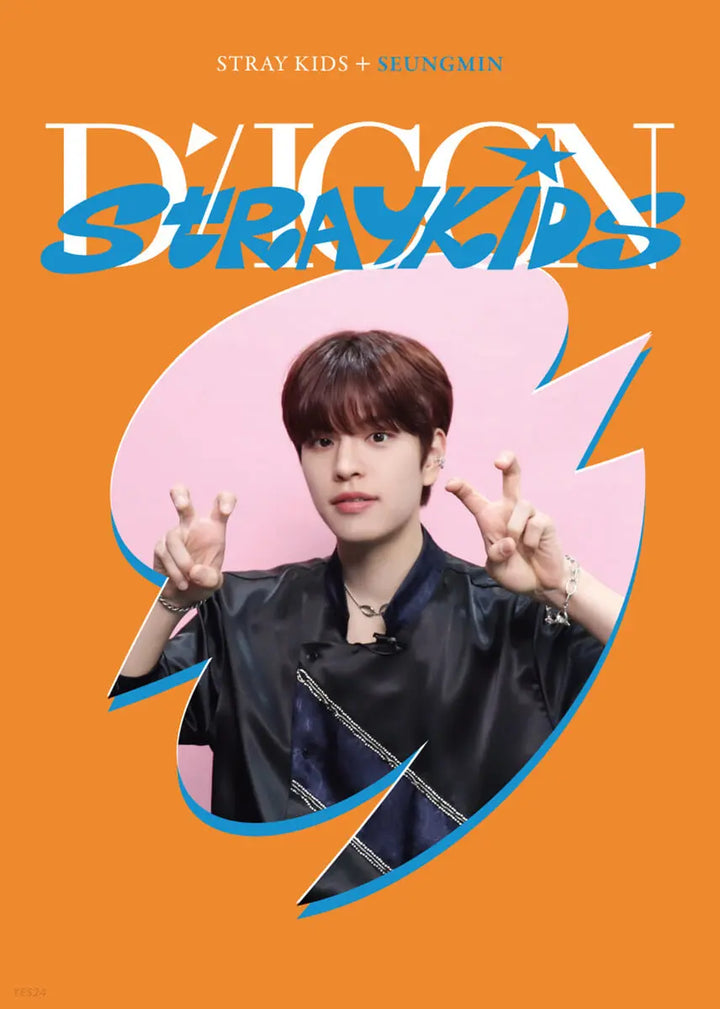 Stray Kids DICON D'FESTA Mini Edition - HALLYUSUPERSTORE