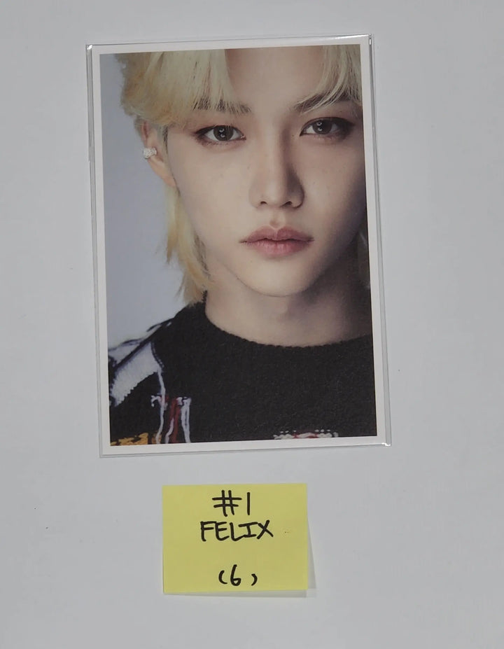 Stray Kids Dispatch D'FESTA - Official Postcard - HALLYUSUPERSTORE