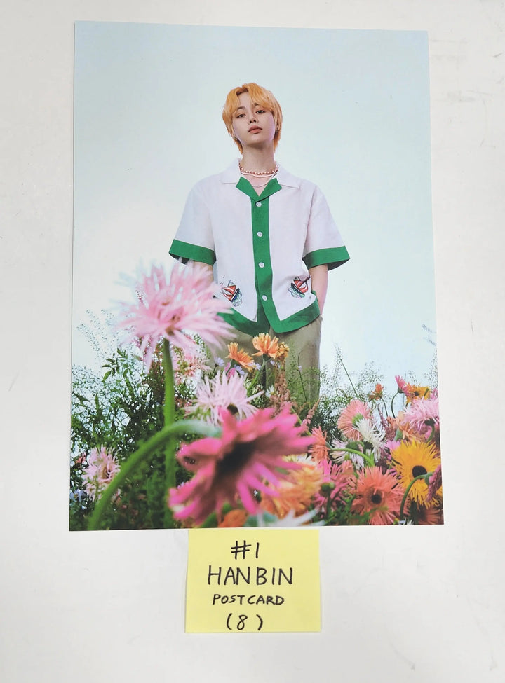 TEMPEST "SHINING UP" - Official Postcard, Sticker - HALLYUSUPERSTORE