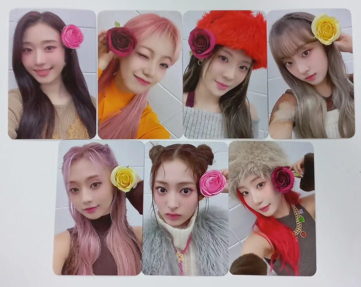 Cignature 3rd Mini "My Little Aurora" - Beatroad Fansign Event Photocard - HALLYUSUPERSTORE