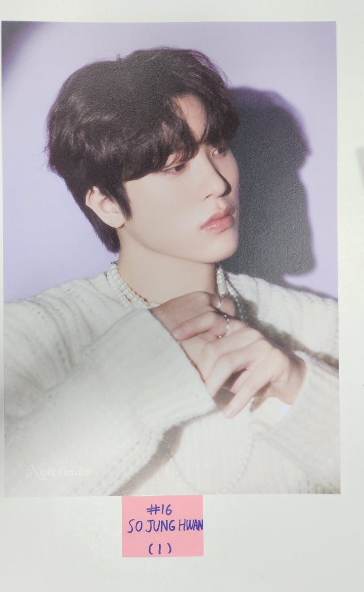 Treasure "Night Garden" - Kpop Merch Lucky Draw Event PVC Photocard, Gotcha MD - HALLYUSUPERSTORE