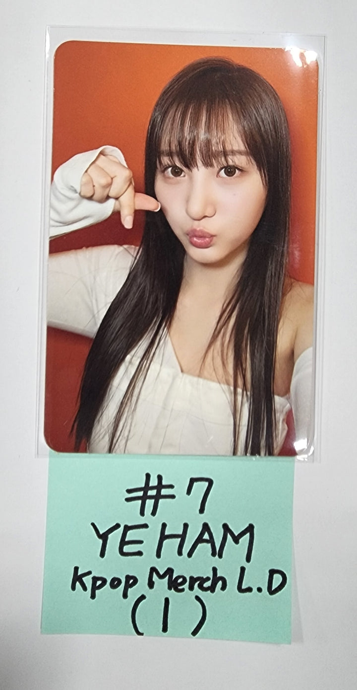 CSR "DELIGHT" - Kpop-Merch Lucky Draw Event Photocard - HALLYUSUPERSTORE