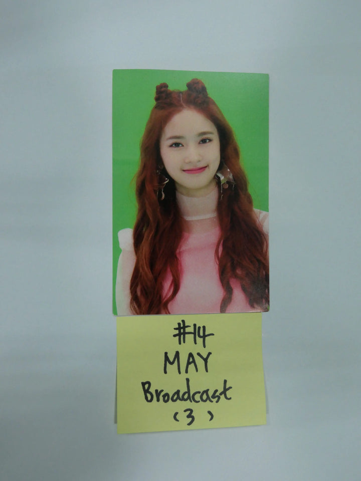 Cherry Bullet - Broadcast Photocard - HALLYUSUPERSTORE