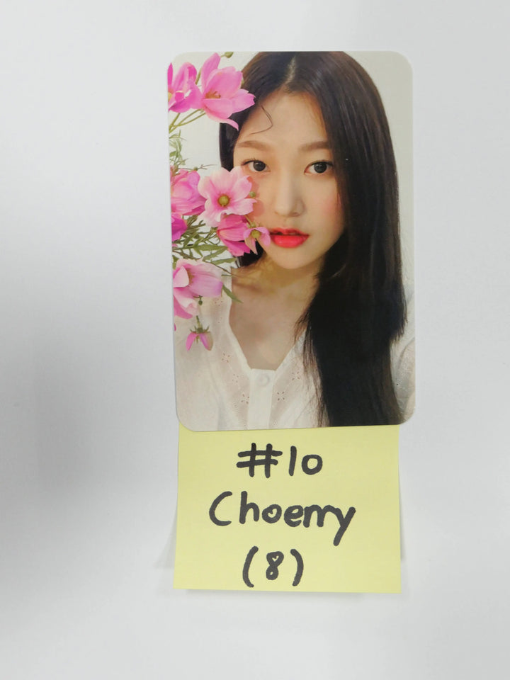 Loona '&' - Official Photocard (JinSoul, Choerry, Yves) (Mass Updated 9-2) - HALLYUSUPERSTORE