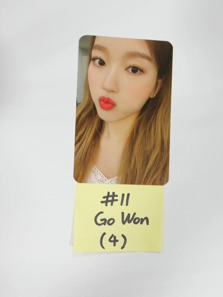 Loona '&' - Official Photocard (Chuu, Go Won, Olivia Hye) (Mass Updated 9-2) - HALLYUSUPERSTORE