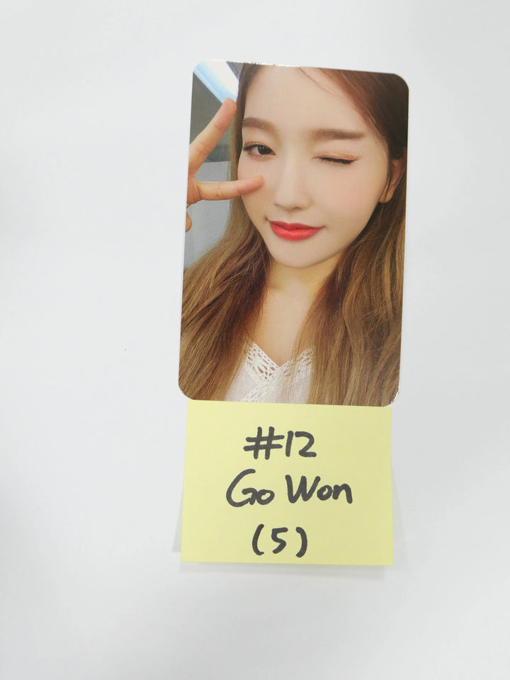 Loona '&' - Official Photocard (Chuu, Go Won, Olivia Hye) (Mass Updated 9-2) - HALLYUSUPERSTORE