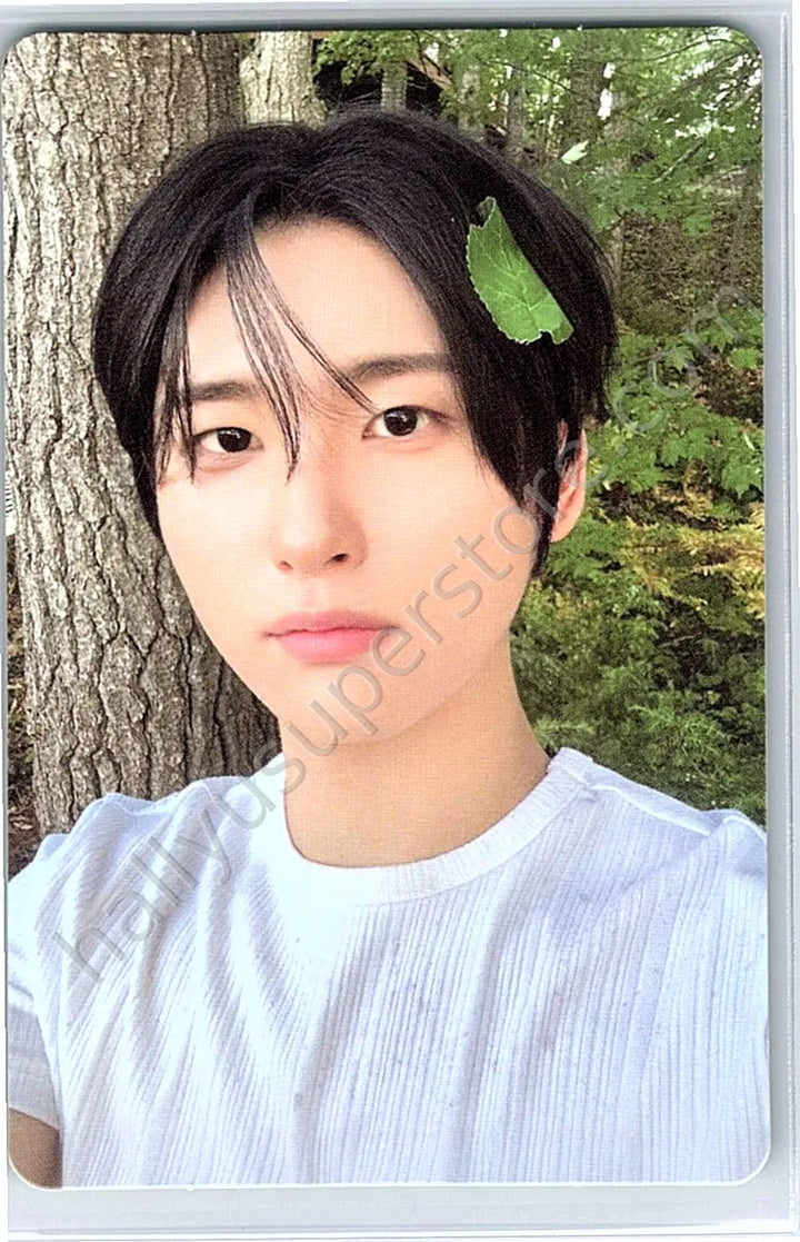 CRAVITY - Woobin - Dare to Crave: Epilogue album photocard grape ccrew version