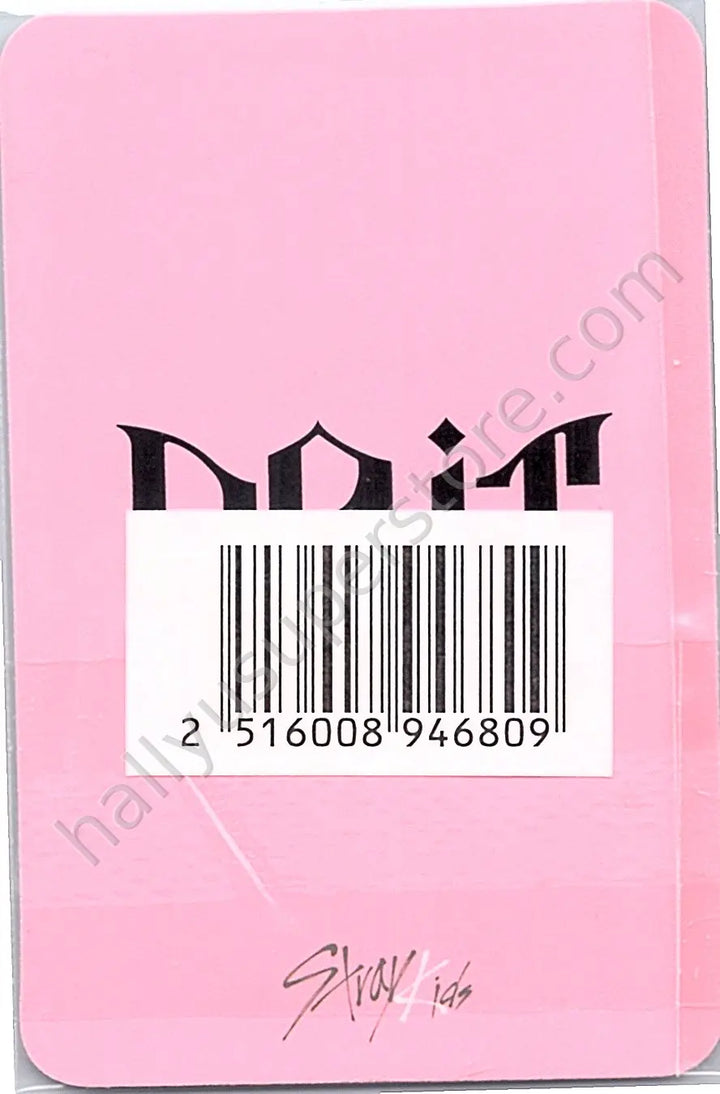 Stray Kids - I.N - DO IT purchase benefit yes24