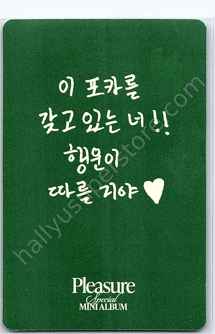 TREASURE - Doyoung - Pleasure album photocard green version photocard