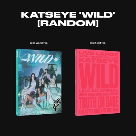 [B2B] KATSEYE - WILD Photobook / 쇼핑몰) KATSEYE (캣츠아이) - WILD 포토북
