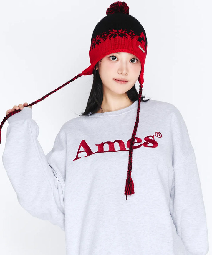 **QWER -Chodan BASIC LOGO SWEATSHIRT LIGHT GREY