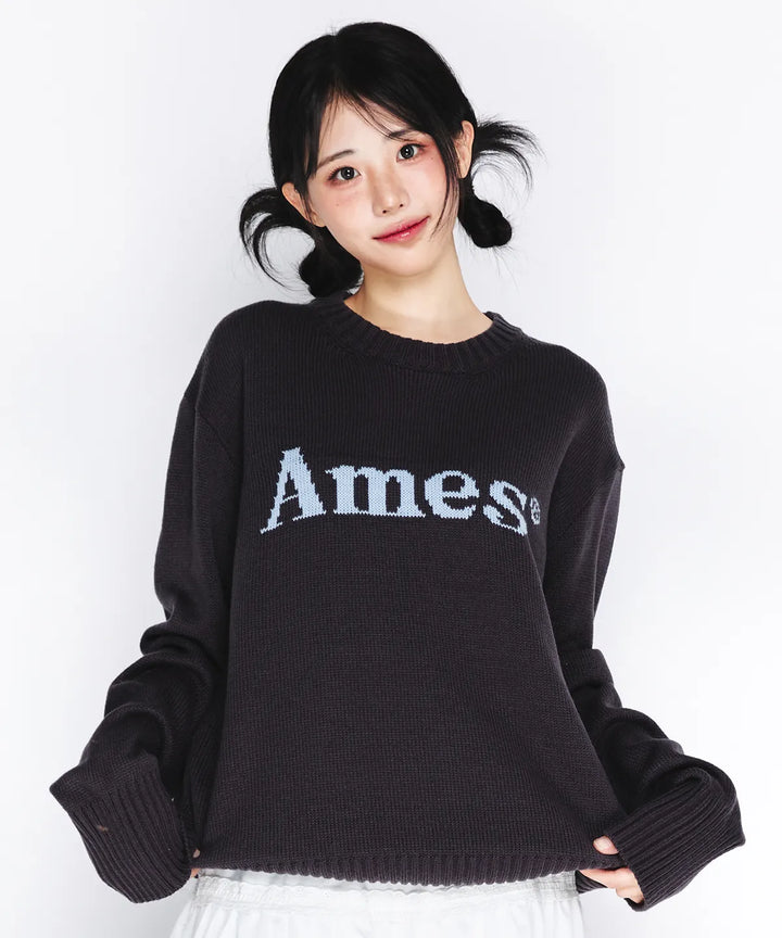 **QWER - Hina BASIC PULLOVER KNIT CHARCOAL