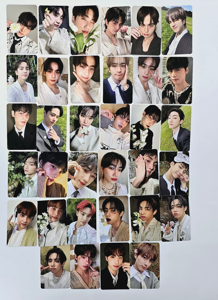 20240320_195245_1024x1024.jpg?