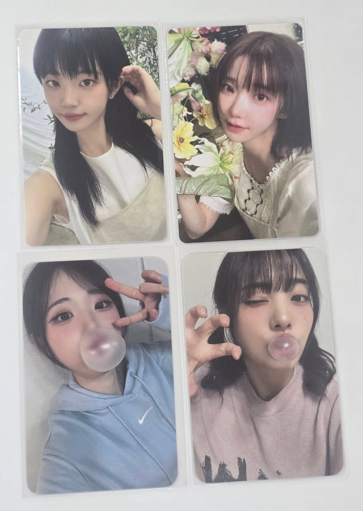 QWER - Official [Weverse Shop, Whos Fan Store] Fansign Event Photocard [26.1.29]