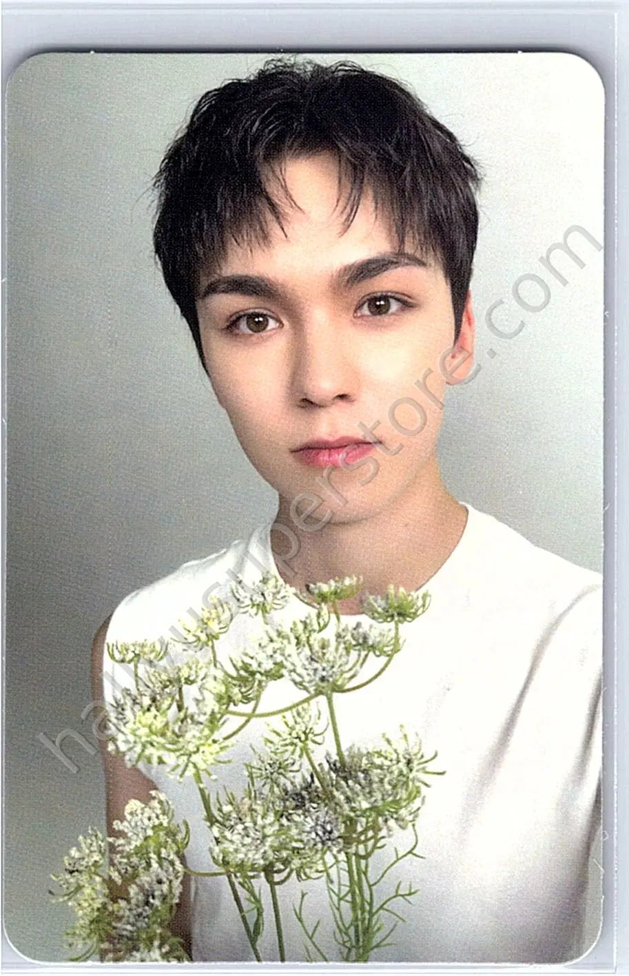SEVENTEEN - Vernon - 17 IS RIGHT HERE album photocard carat version dear version