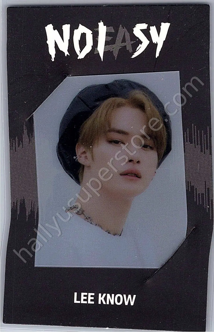 Stray Kids - Lee Know - NoEasy album photocard first press only frame photocard standard version