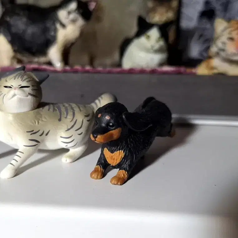 고양이 강아지 동물 가챠 피규어
