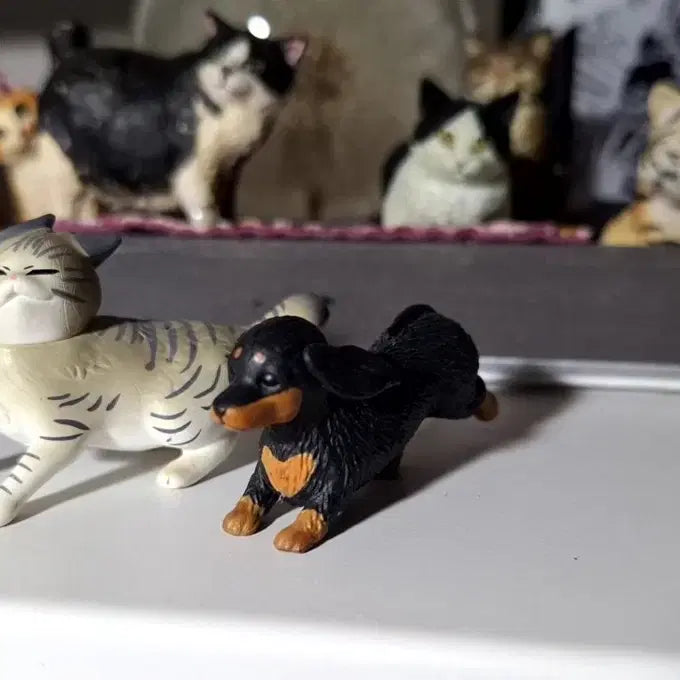 고양이 강아지 동물 가챠 피규어