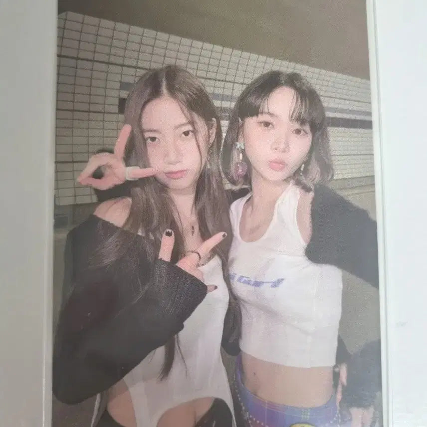 르세라핌 포카