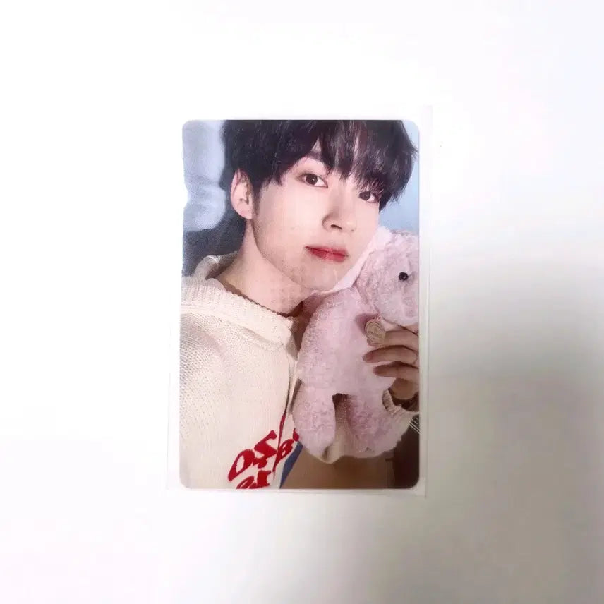 제베원 성한빈 일본 유라유라 팬콘 럭드 포카 zb1 앨범 미공포 팝업