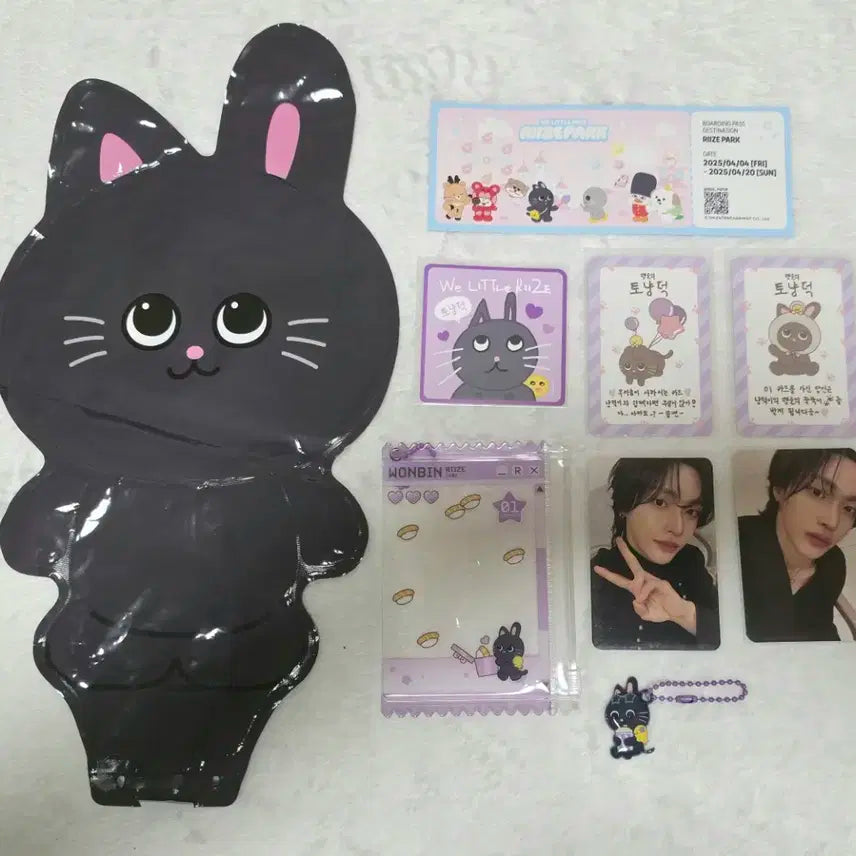 라이즈 팝업 양도(원빈 세트)