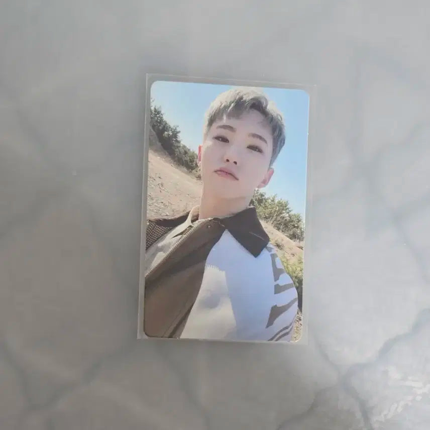 세븐틴 호시 페더썬 위버스 특전 포카 양도