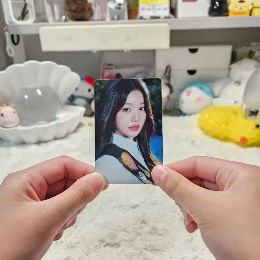 아이브 원영 팬콘서트 랜덤포카팩